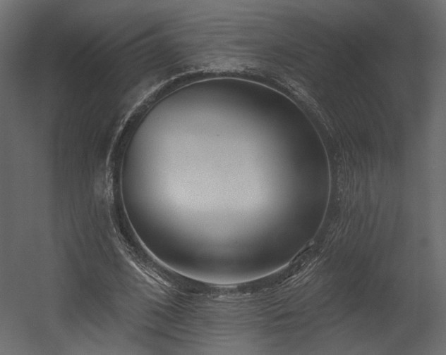 X0000054400584200508011325