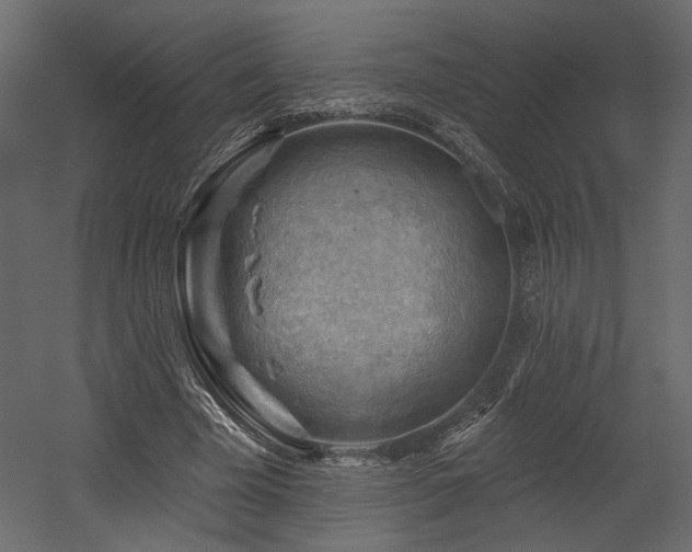 X0000054400585200508011325