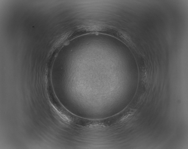 X0000054400586200508011325