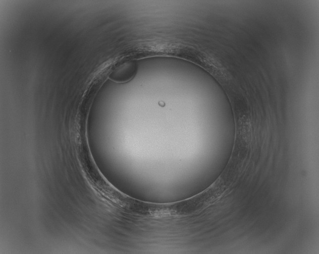 X0000054400587200508011325