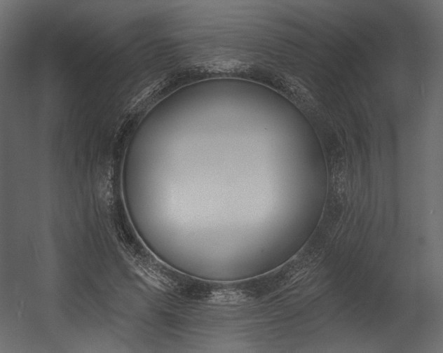 X0000054400591200508011324