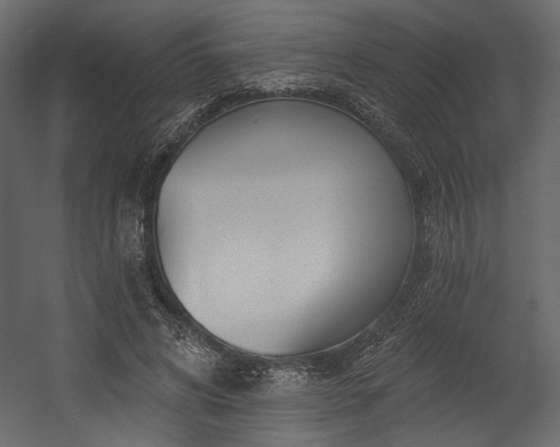 X0000054400592200508011324