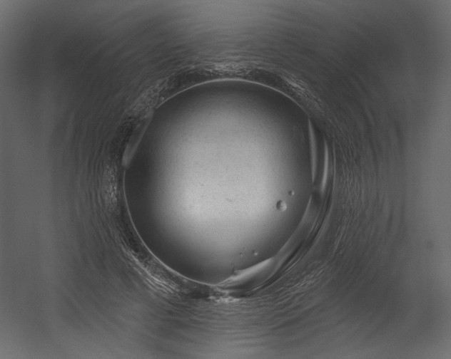 X0000054400593200508011324