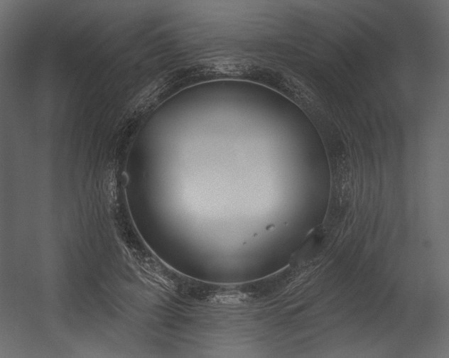 X0000054400595200508011324