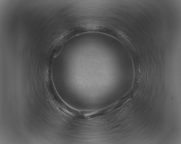 X0000054400596200508011324