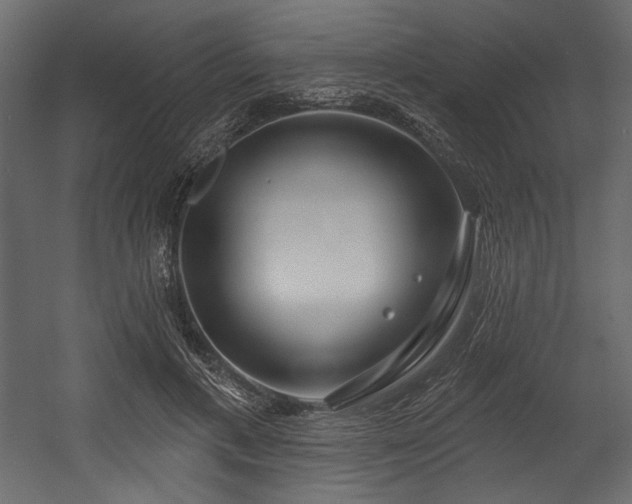 X0000054400597200508011324