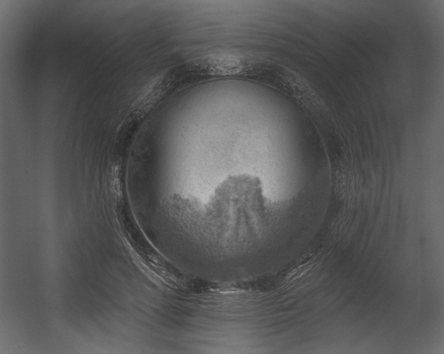 X0000054400598200508011324