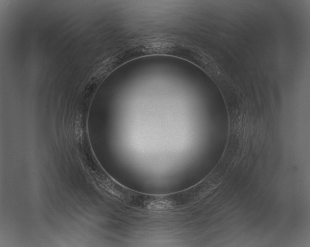 X0000054400599200508011324