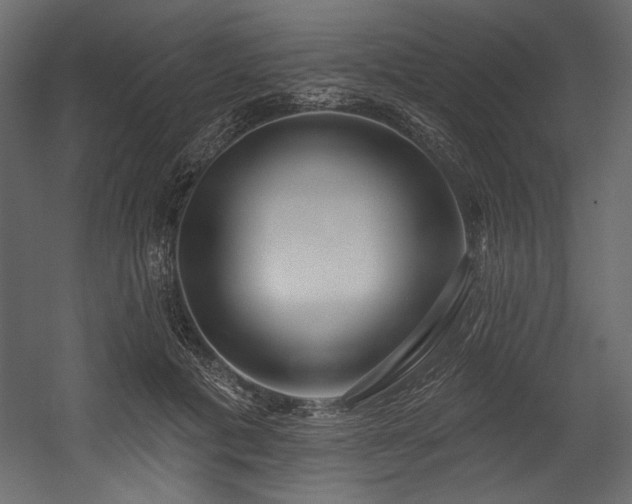 X0000054400601200508011324