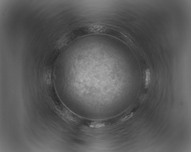 X0000054400602200508011324