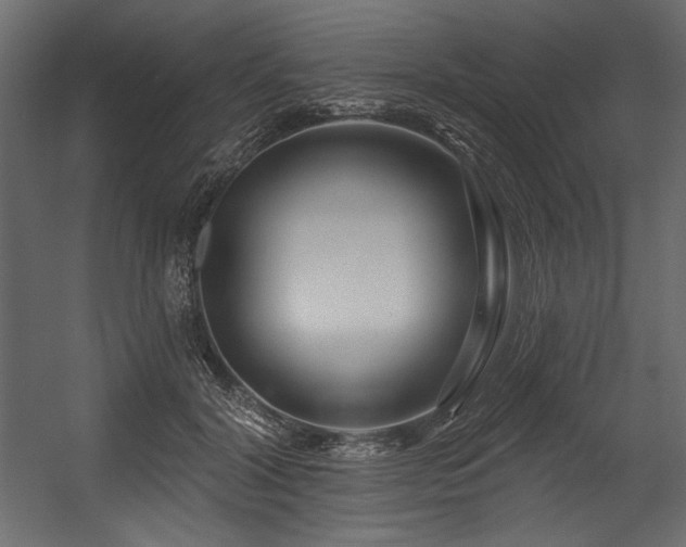 X0000054400604200508011324