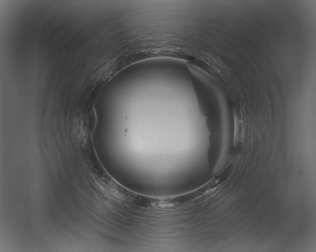 X0000054400607200508011324