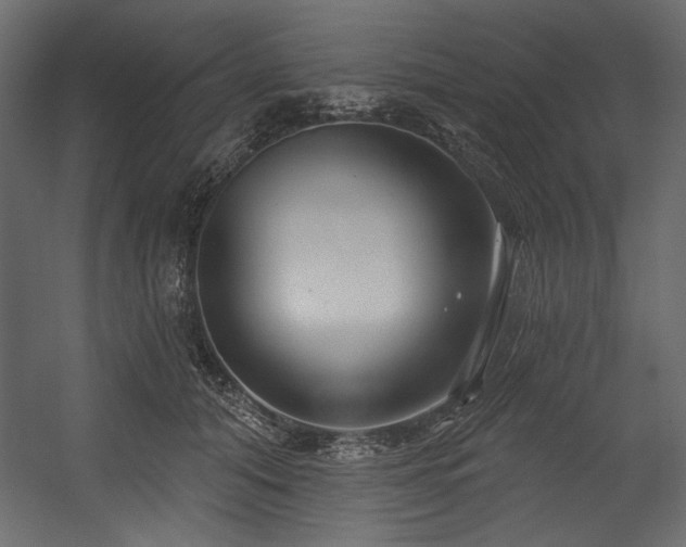 X0000054400608200508011324