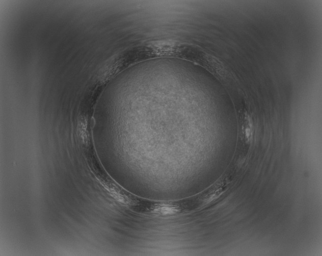 X0000054400610200508011324