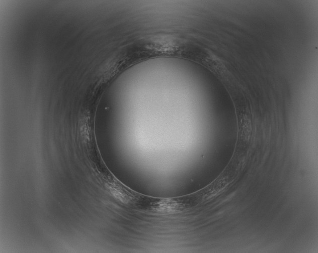 X0000054400612200508011324