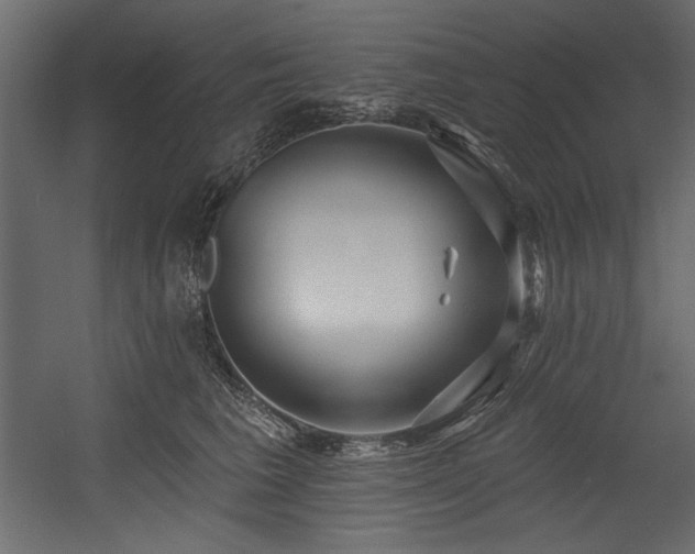 X0000054400613200508011324