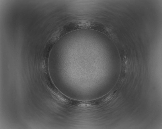 X0000054400614200508011324