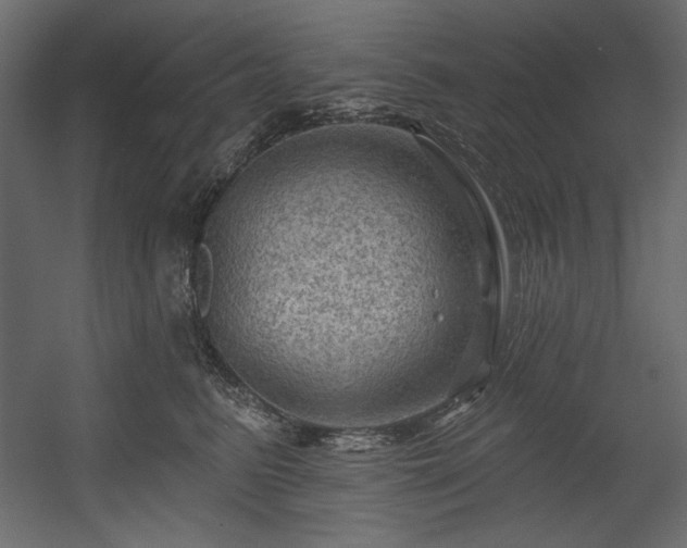 X0000054400615200508011324