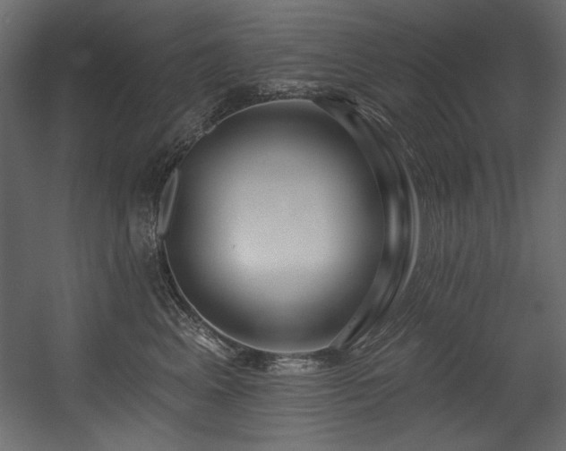 X0000054400617200508011324