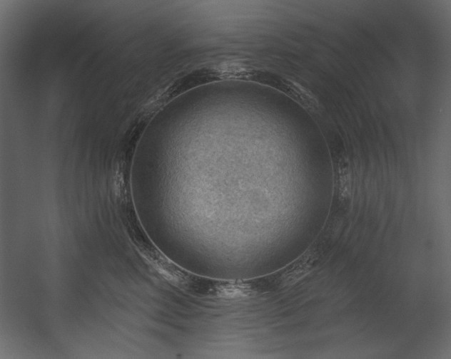 X0000054400618200508011324