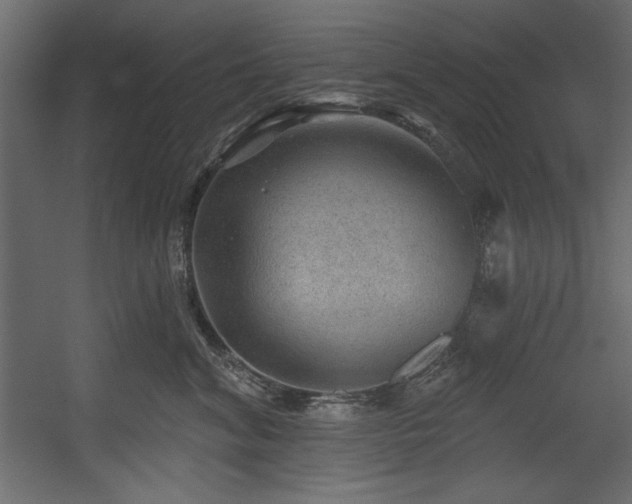 X0000054400620200508011324