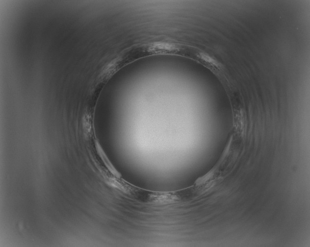 X0000054400621200508011324