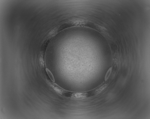 X0000054400622200508011324