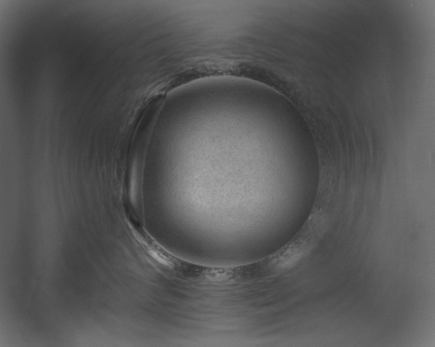 X0000054400624200508011324