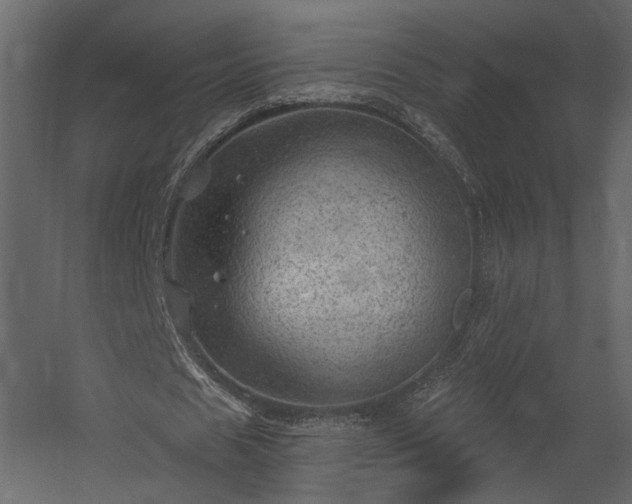 X0000054400625200508011323