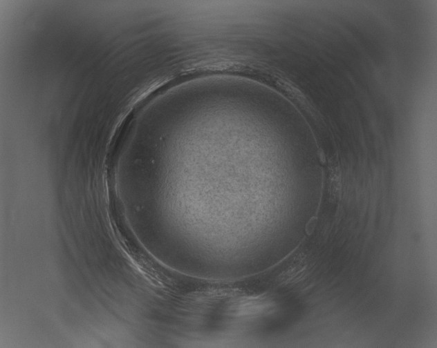 X0000054400626200508011323