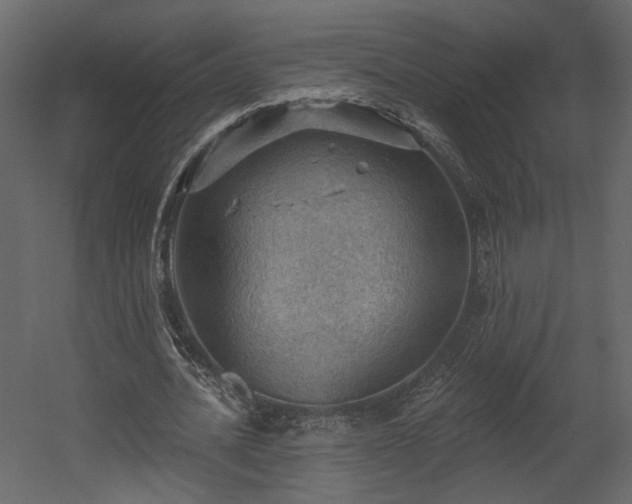 X0000054400628200508011323