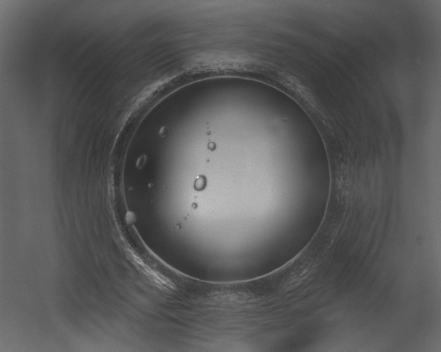 X0000054400629200508011323