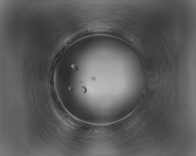 X0000054400631200508011323