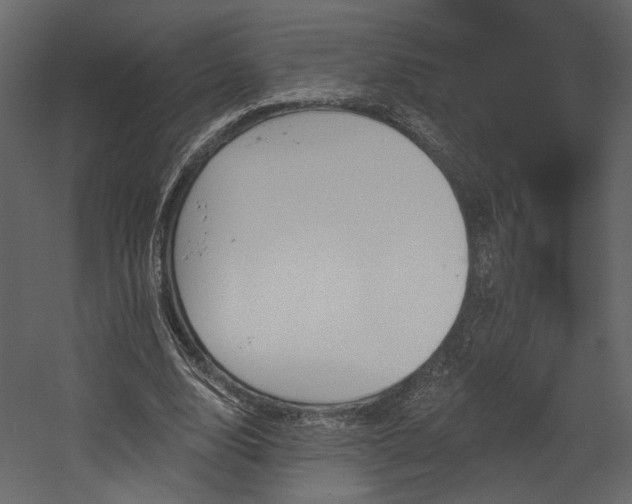 X0000054400632200508011323