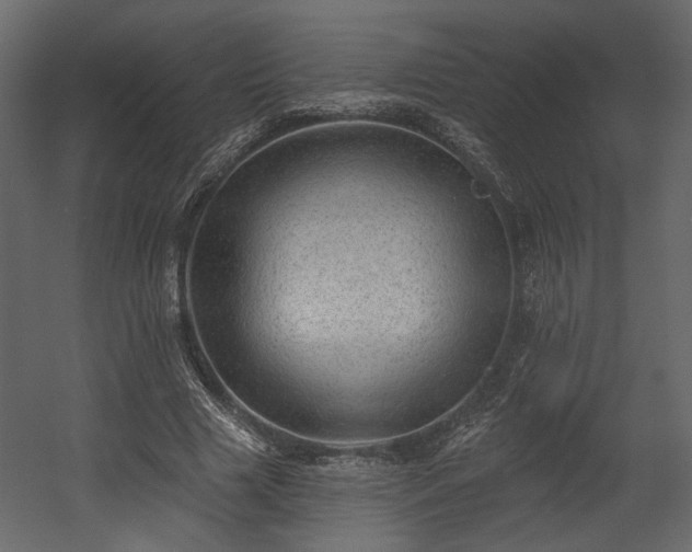 X0000054400633200508011323