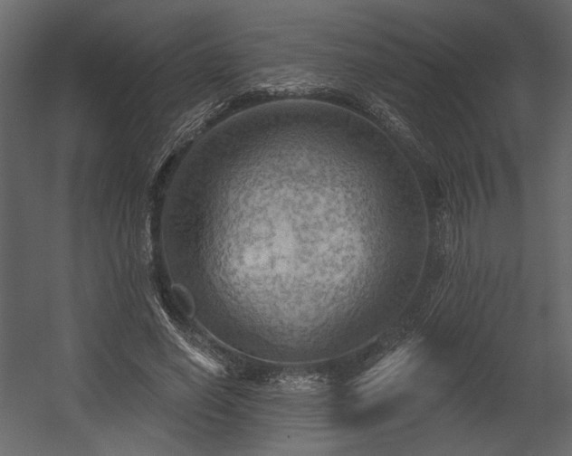 X0000054400638200508011323