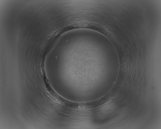 X0000054400641200508011323