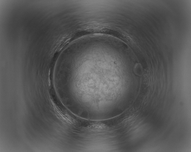 X0000054400642200508011323