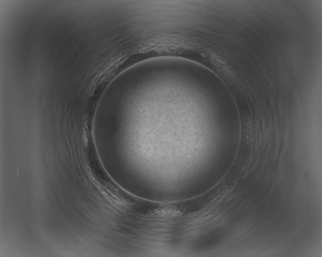 X0000054400644200508011323