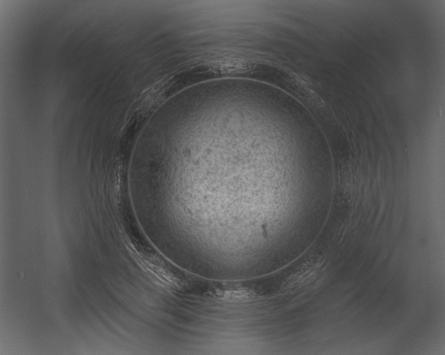 X0000054400645200508011323