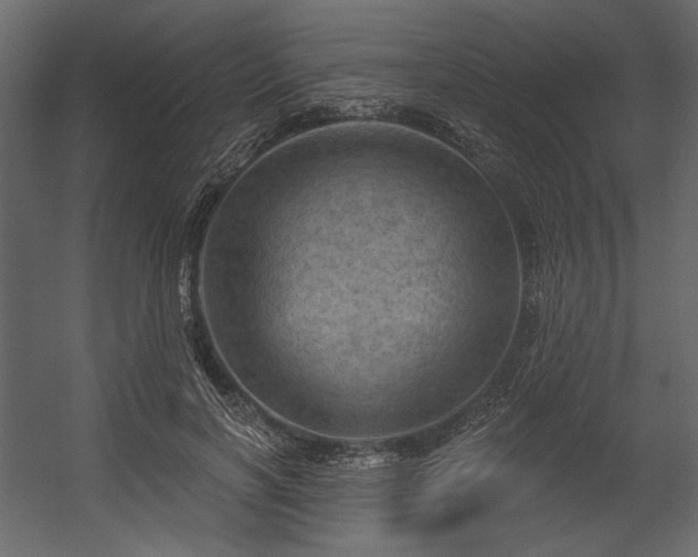 X0000054400646200508011323