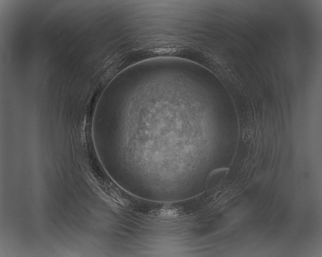 X0000054400647200508011323