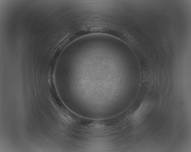 X0000054400648200508011323