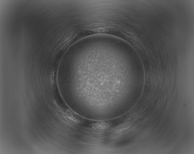 X0000054400652200508011324