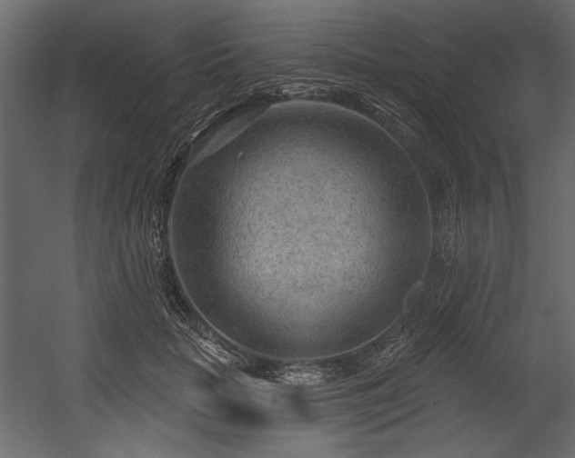 X0000054400653200508011324