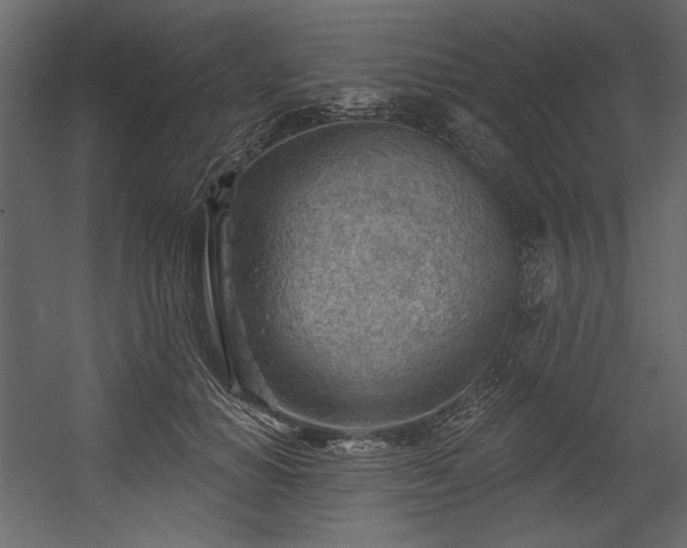 X0000054400654200508011324