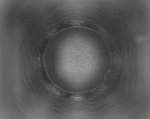 X0000054400655200508011324