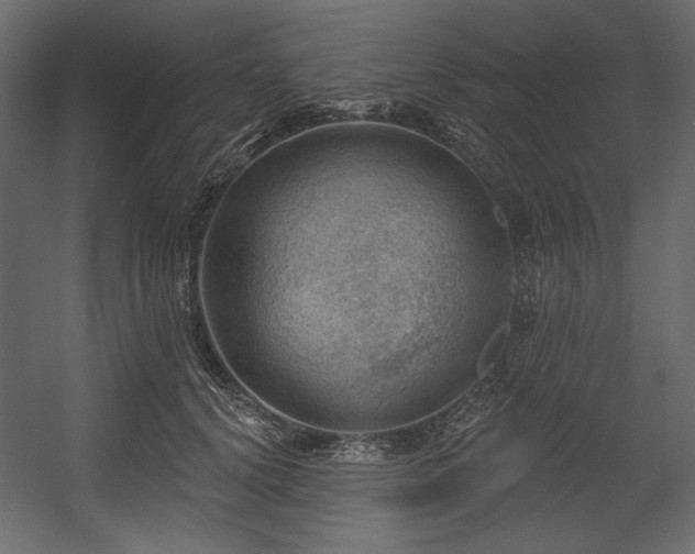 X0000054400656200508011324