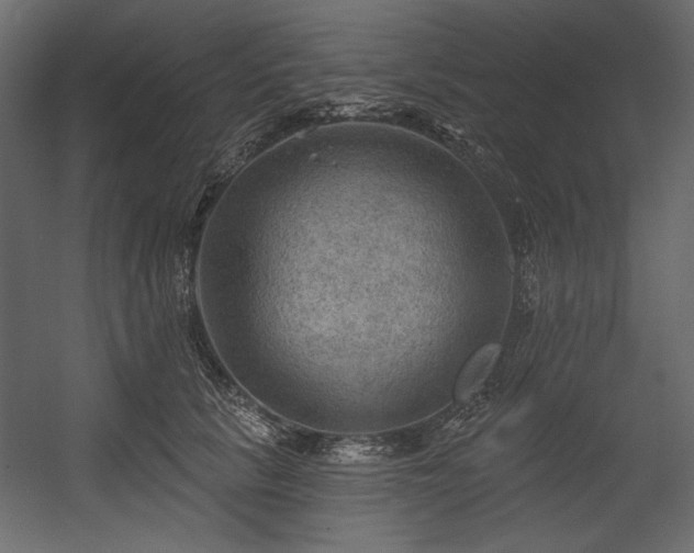 X0000054400657200508011324