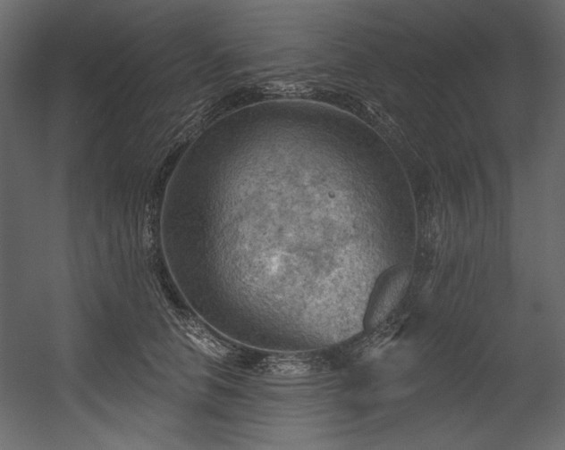 X0000054400658200508011324